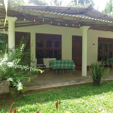 Green Valley Home Stay 陶尔佩 外观 照片