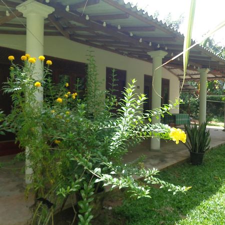 Green Valley Home Stay 陶尔佩 外观 照片