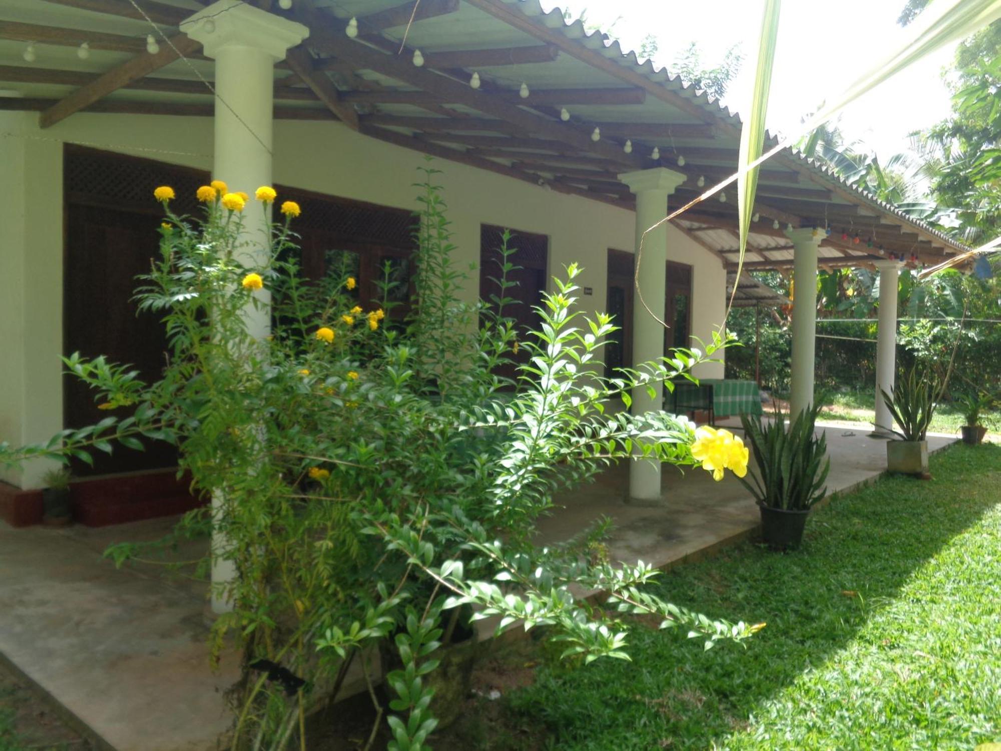 Green Valley Home Stay 陶尔佩 外观 照片