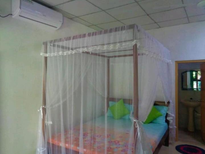 Green Valley Home Stay 陶尔佩 外观 照片